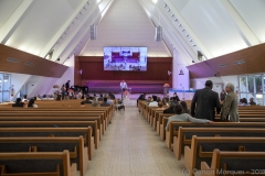 IMG_8729