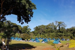 20190620_145507-a