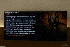 IWG_2024_06_01_1462