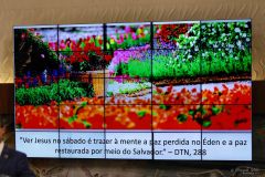 SCB50_2022_09_10_1220