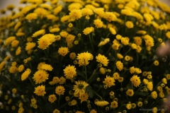 SD759_2019_04_27_2646