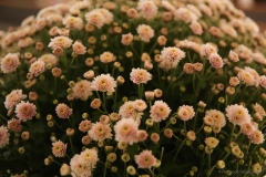 SD759_2019_04_27_2647