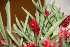 IWG_2024_06_22_0011