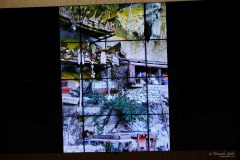 IWG_2024_06_22_0298
