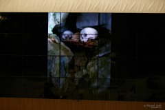 IWG_2024_06_22_0300