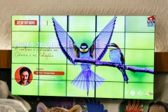 IWG_2022_10_22_1023