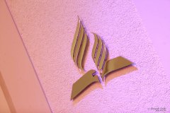 APOC14.6_2021_11_25_5004