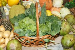 IWG_2023_09_30_0476