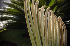 IWG_2022_06_04_0537