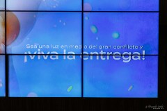 IE_012900059