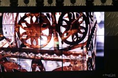 IWG_2022_12_11_2030