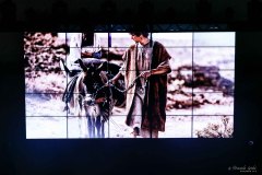 IWG_2022_12_11_2089