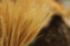 SD759_2018_12_14_3124